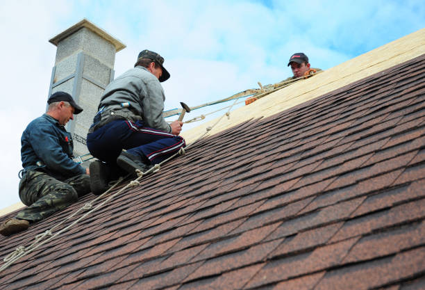Best Storm Damage Roof Repair  in Mount Sterling, OH